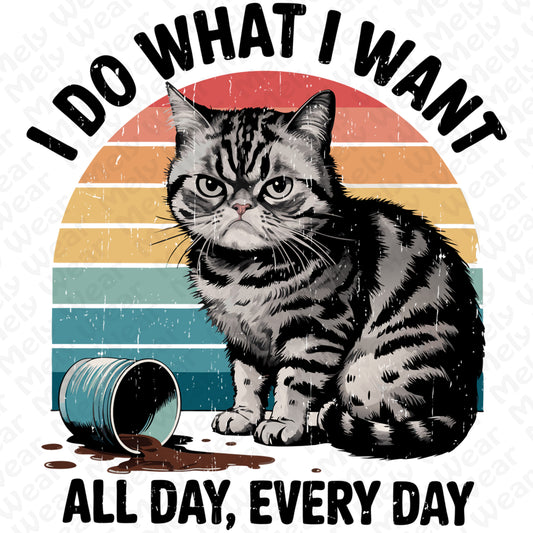 I Do What I Want Angry Cat Shirt Hoodie Sweatshirt